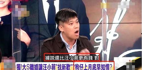 知名狗仔爆料汪小菲视频,狗仔爆料背后的真相揭秘  第2张